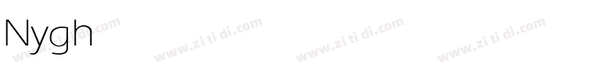 Nyghtserif light字体转换